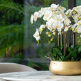 Load image into Gallery viewer, White Buds Orchid Arrangement