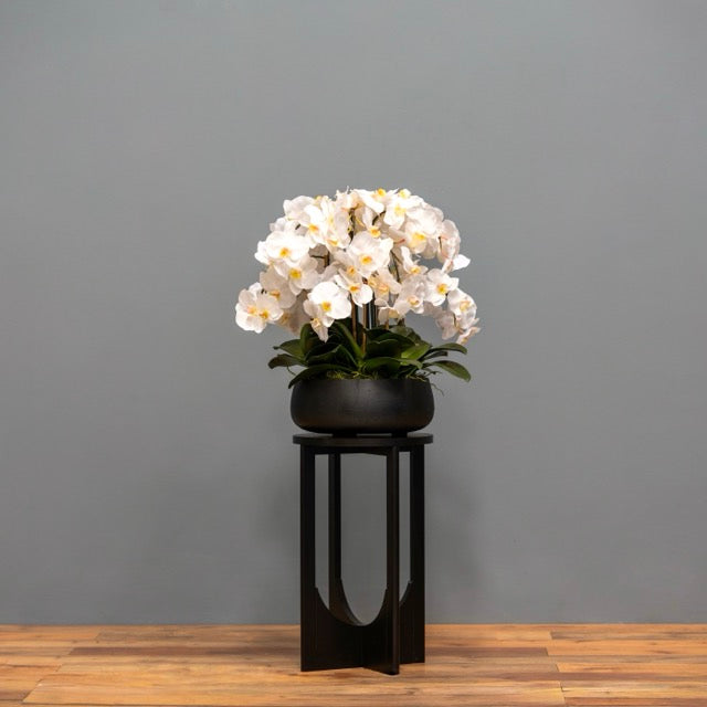 Airy White Orchid Arrangement