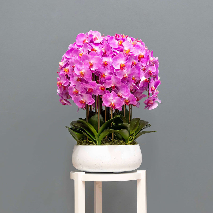 Lush Pink Orchid Arrangement