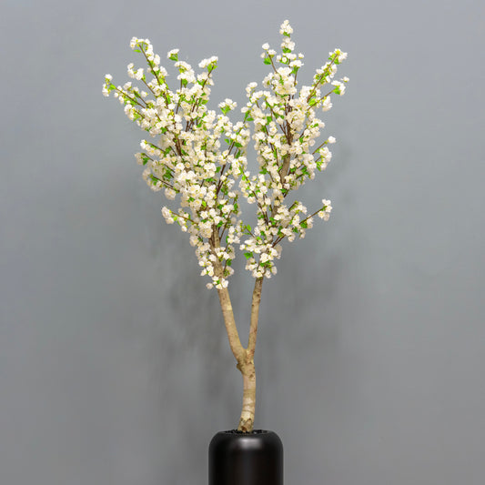 White Cherry Blossom Tree