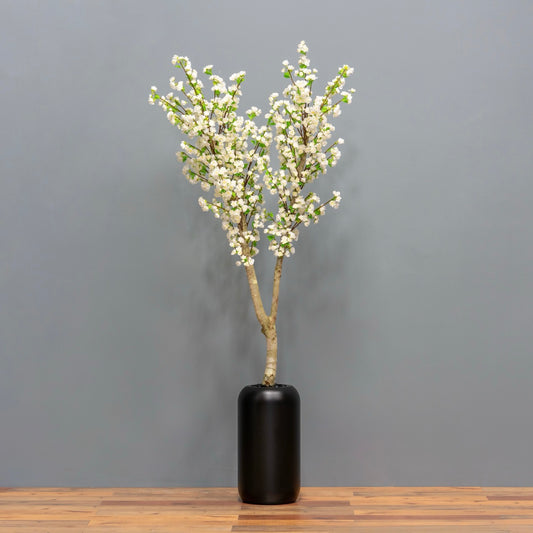 White Cherry Blossom Tree