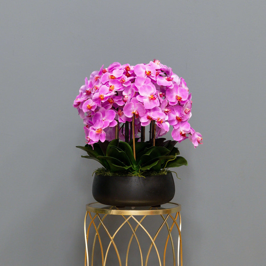 Airy Pink Orchid Arrangement