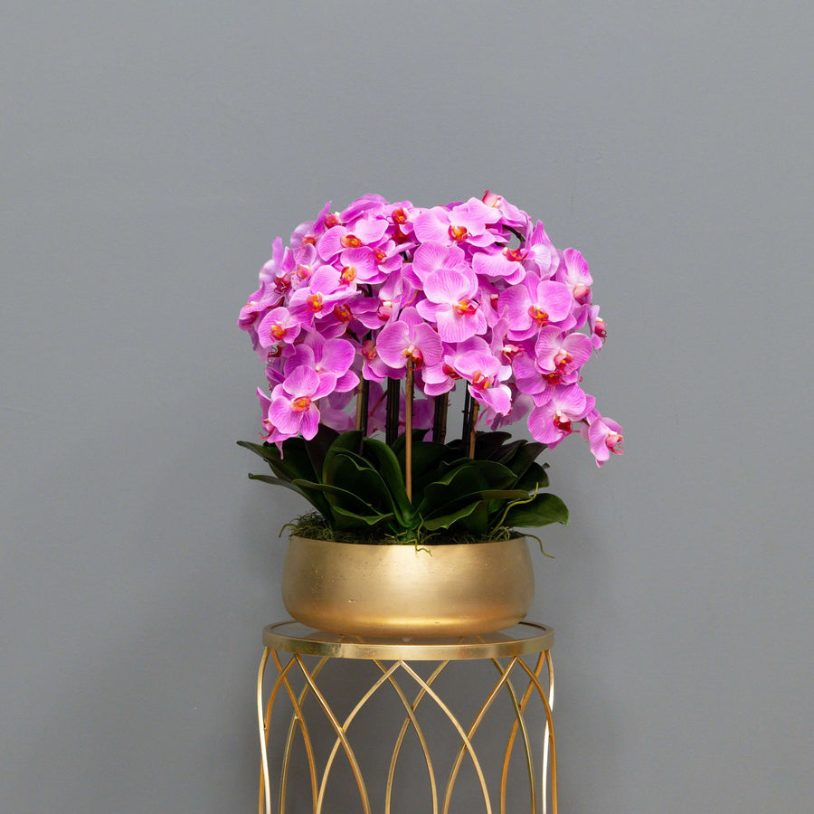 Airy Pink Orchid Arrangement