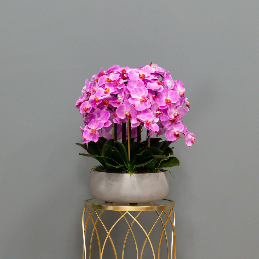 Airy Pink Orchid Arrangement