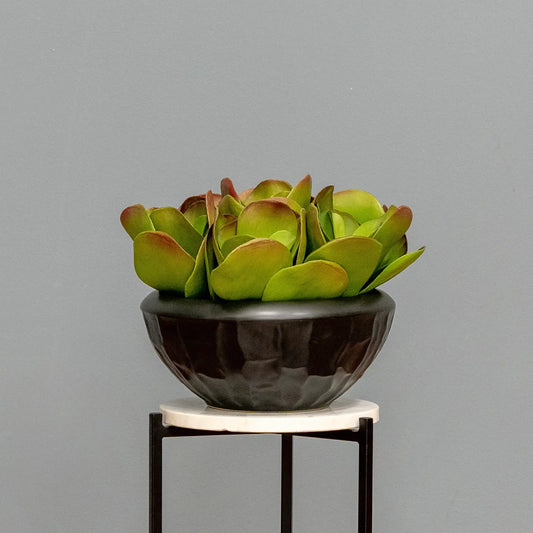 The Jade Crest