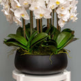 Load image into Gallery viewer, White Orchid Arrangement