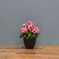 Load image into Gallery viewer, Premium Outdoor Rhododendron Florals