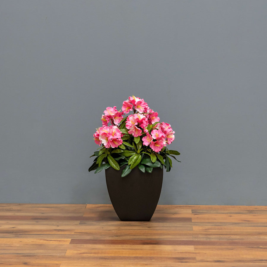 Premium Outdoor Rhododendron Florals