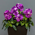 Load image into Gallery viewer, Premium Outdoor Rhododendron Florals
