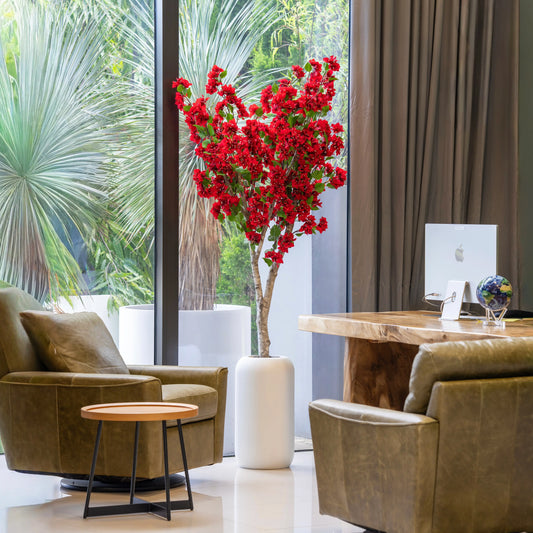 Red Bougainvillea Tree