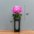 Load image into Gallery viewer, Lush Pink Orchid Arrangement