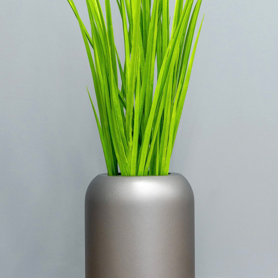 Field Grasses