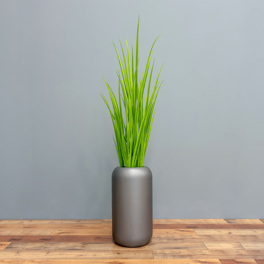 Field Grasses