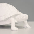 Load image into Gallery viewer, White Tortoise