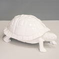 Load image into Gallery viewer, White Tortoise
