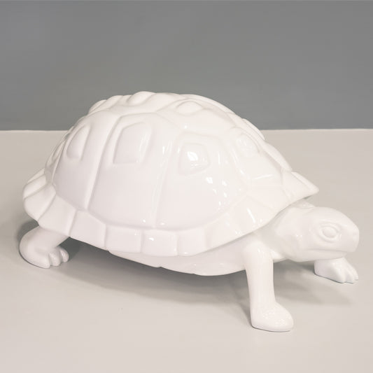 White Tortoise