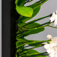 Load image into Gallery viewer, The Plant Stick (Pre-Order)