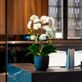 Load image into Gallery viewer, White Orchids - Black Planter