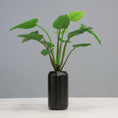 Load image into Gallery viewer, Green Congo