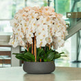 Load image into Gallery viewer, White Orchid Arrangement
