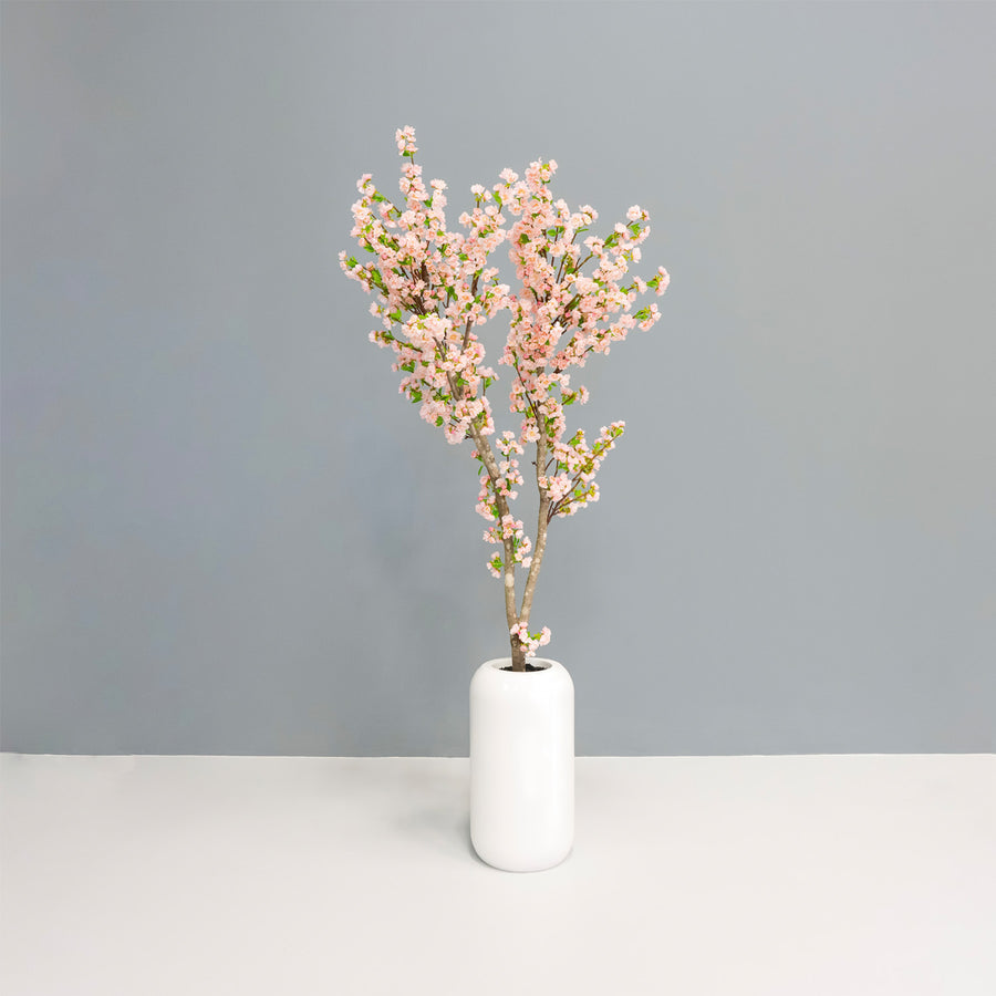 Cherry Blossom Tree + Planter