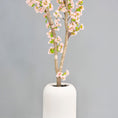 Load image into Gallery viewer, Cherry Blossom Tree + Planter