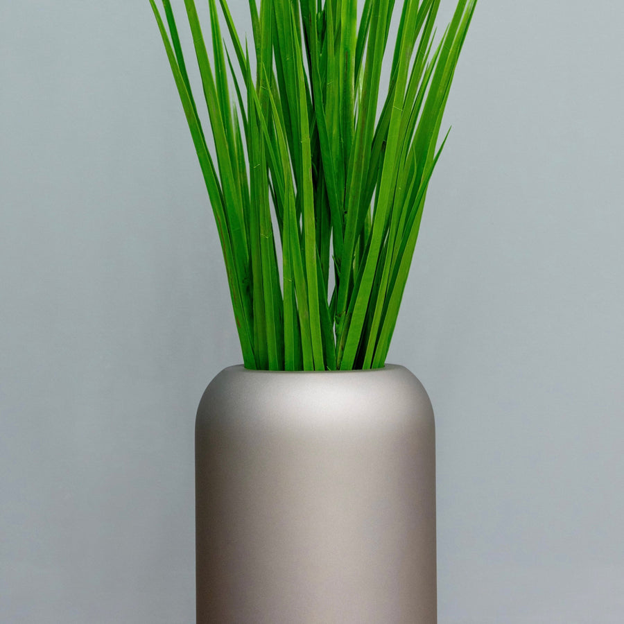 Field Grasses