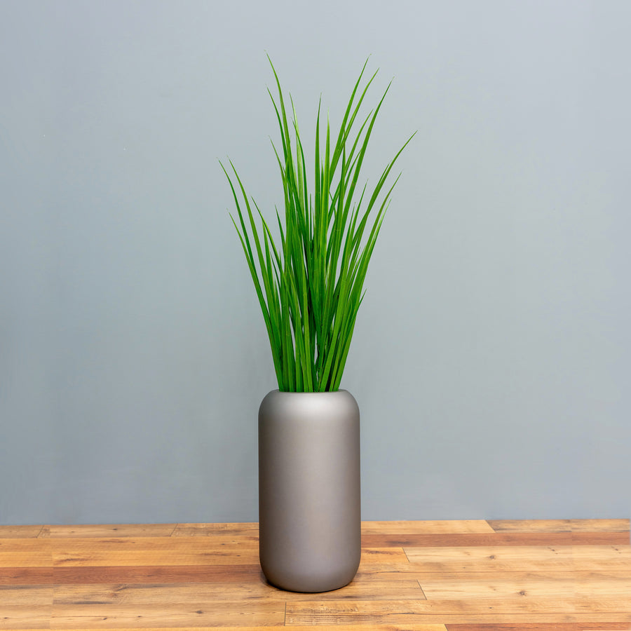 Field Grasses