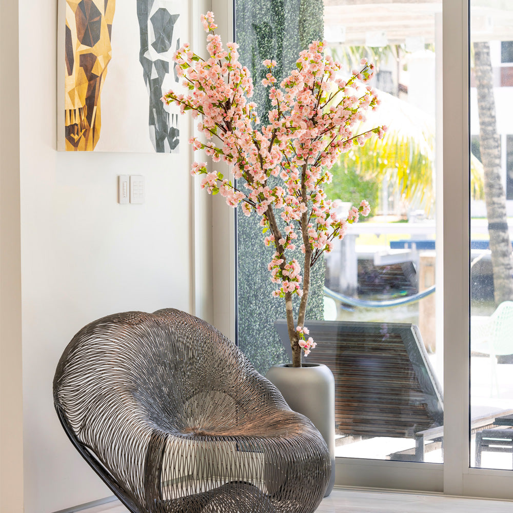 Cherry Blossom Tree + Planter