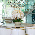 Load image into Gallery viewer, White Orchid Arrangement