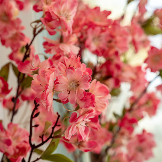 Hot Pink Cherry Blossom Tree + Planter