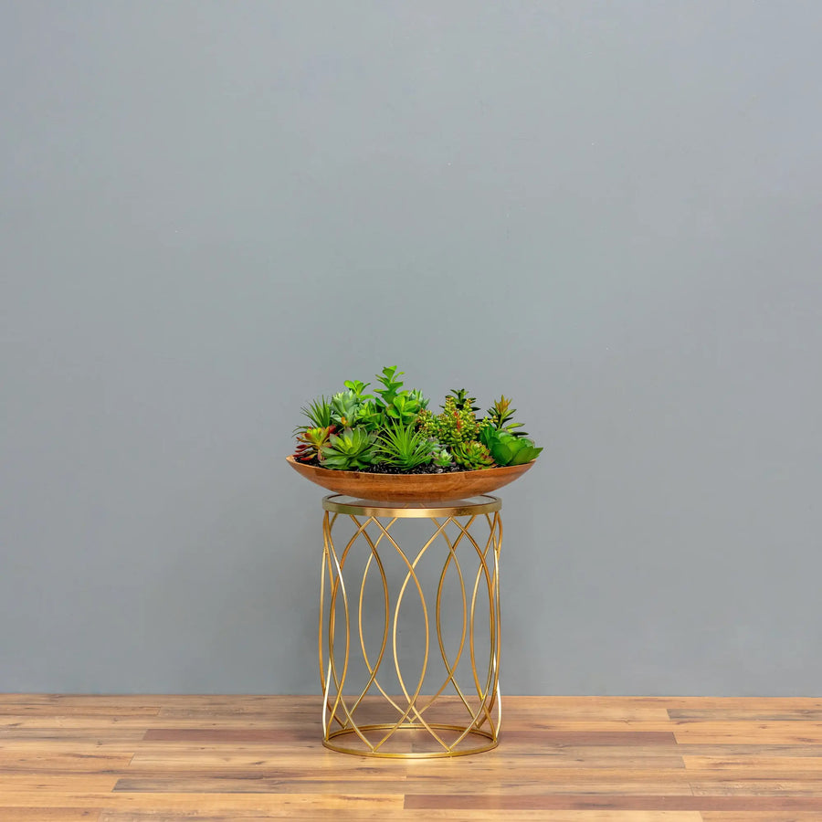 Wooden Oasis Succulent Bowl