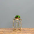 Load image into Gallery viewer, Wooden Oasis Succulent Bowl