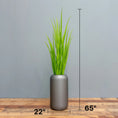 Load image into Gallery viewer, Outdoor Ready - Green Grasses

