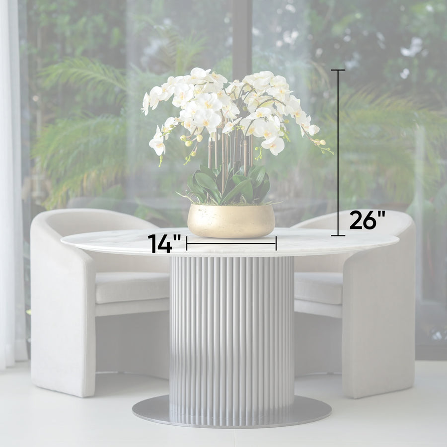 White Buds Orchid Arrangement