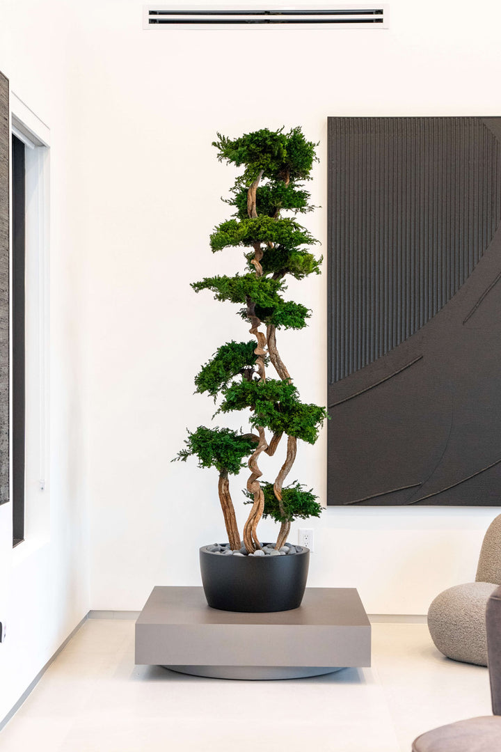 Custom Work – The Plant Guy