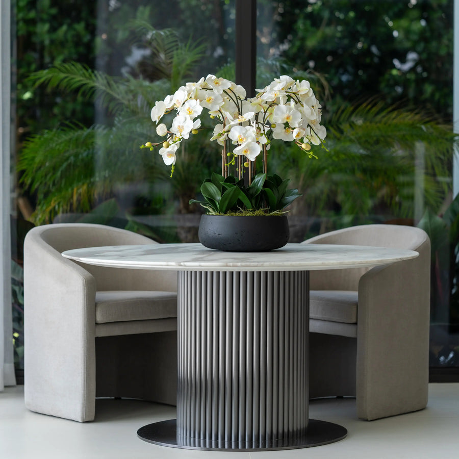 White Buds Orchid Arrangement