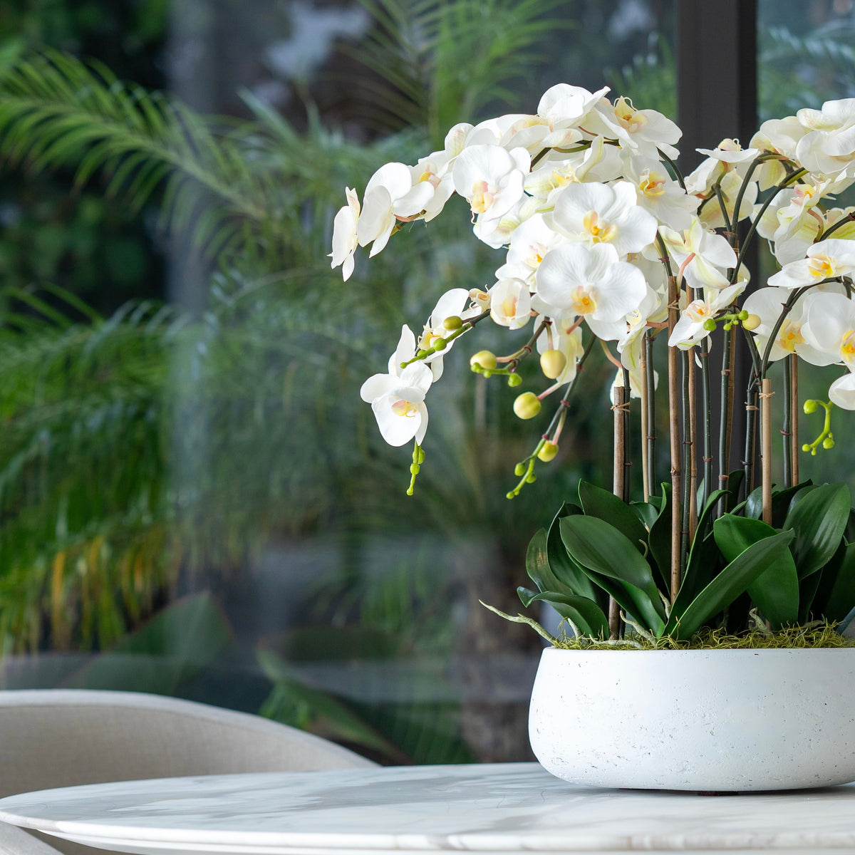 white orchid potted plant White Buds Orchid Arrangement Matte Black Planter