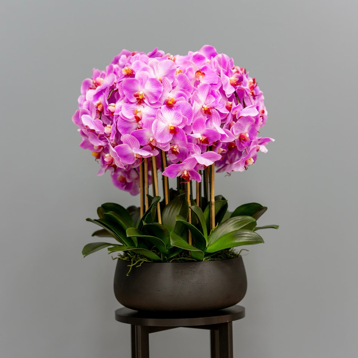 Lush Pink Orchid Arrangement