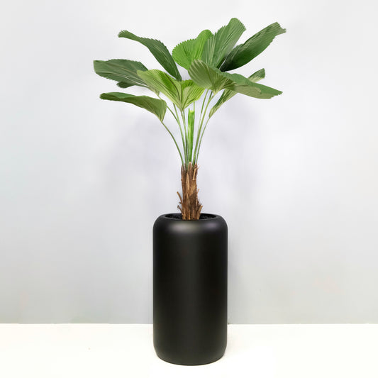 Artificial Licuala Grandis