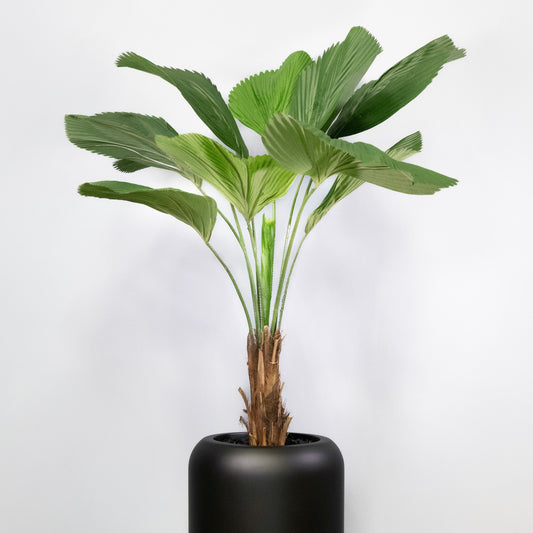 Artificial Licuala Grandis