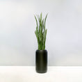 Load image into Gallery viewer, Artificial Sansevieria
