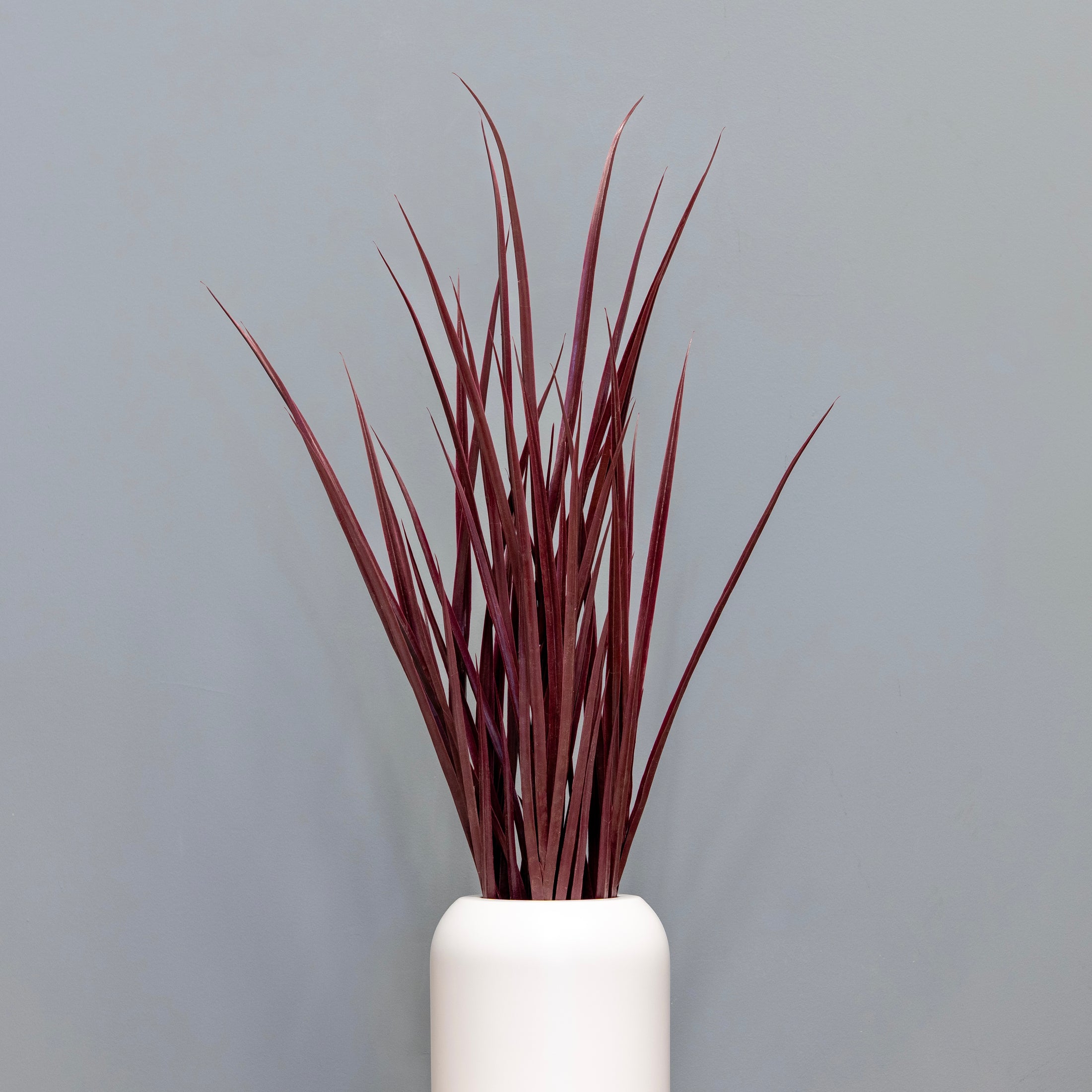 Field Grasses