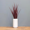 Load image into Gallery viewer, Field Grasses

