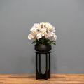 Airy White Orchid Arrangement