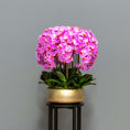 Load image into Gallery viewer, Lush Pink Orchid Arrangement
