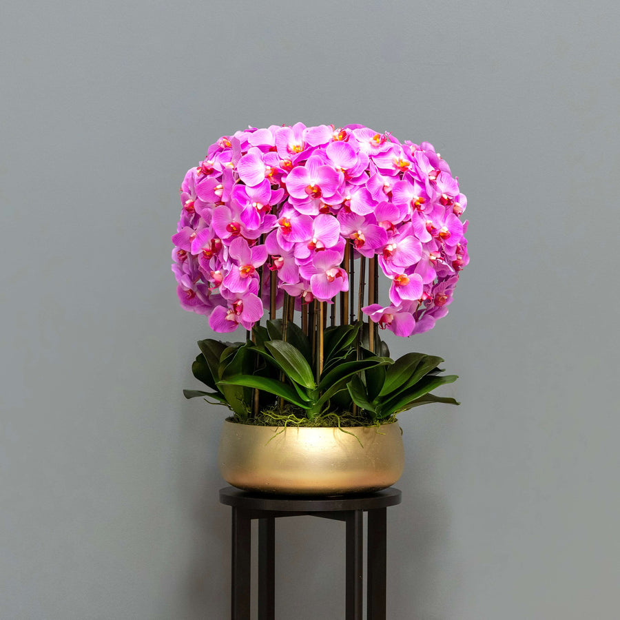 Lush Pink Orchid Arrangement