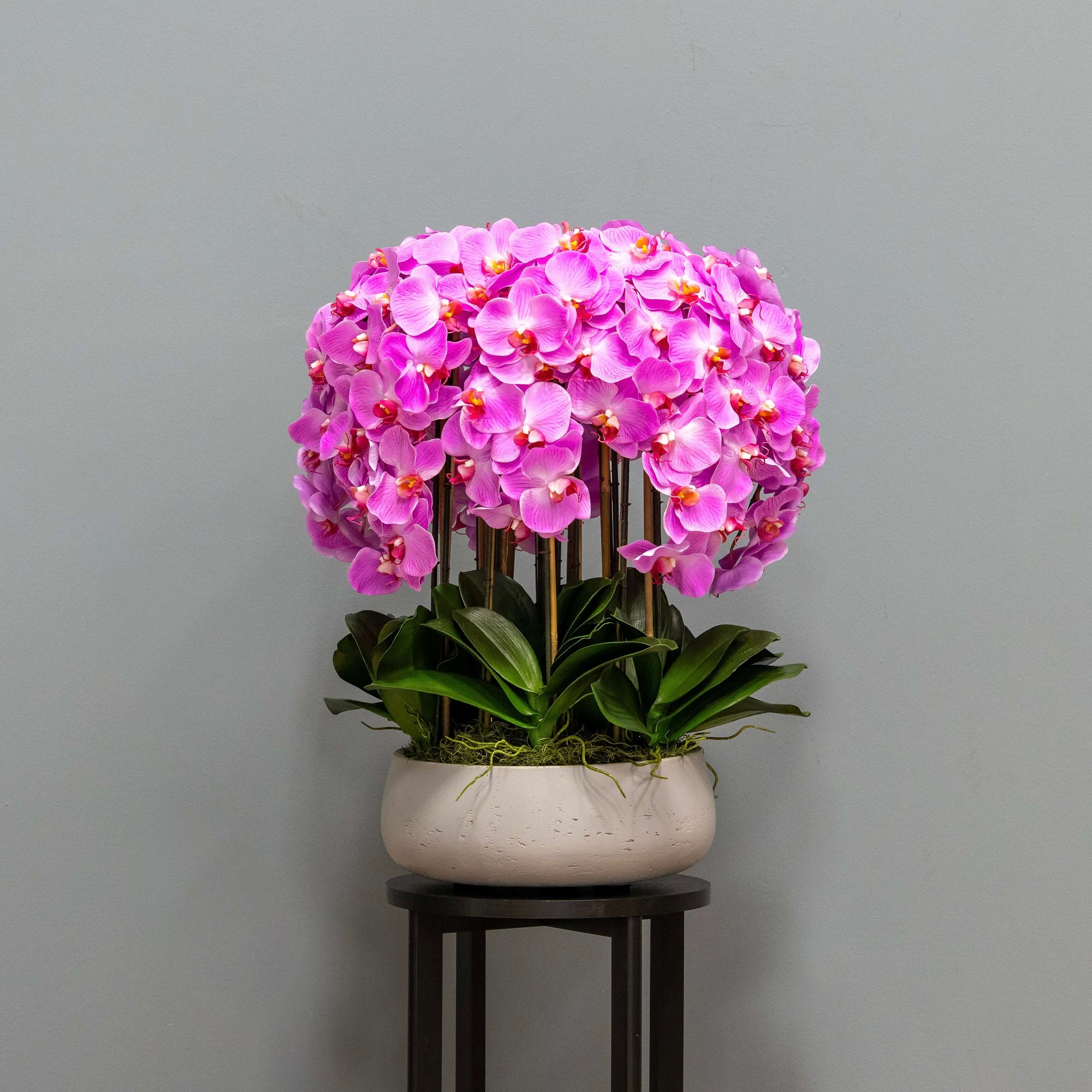 Lush Pink Orchid Arrangement