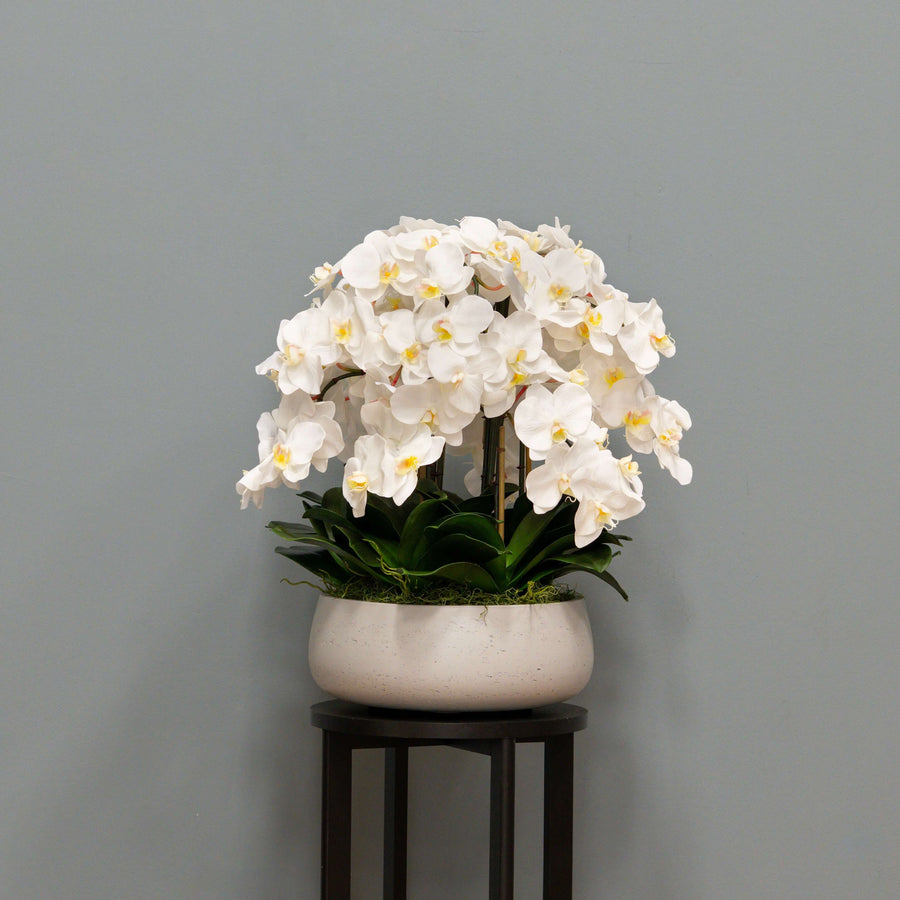 Airy White Orchid Arrangement