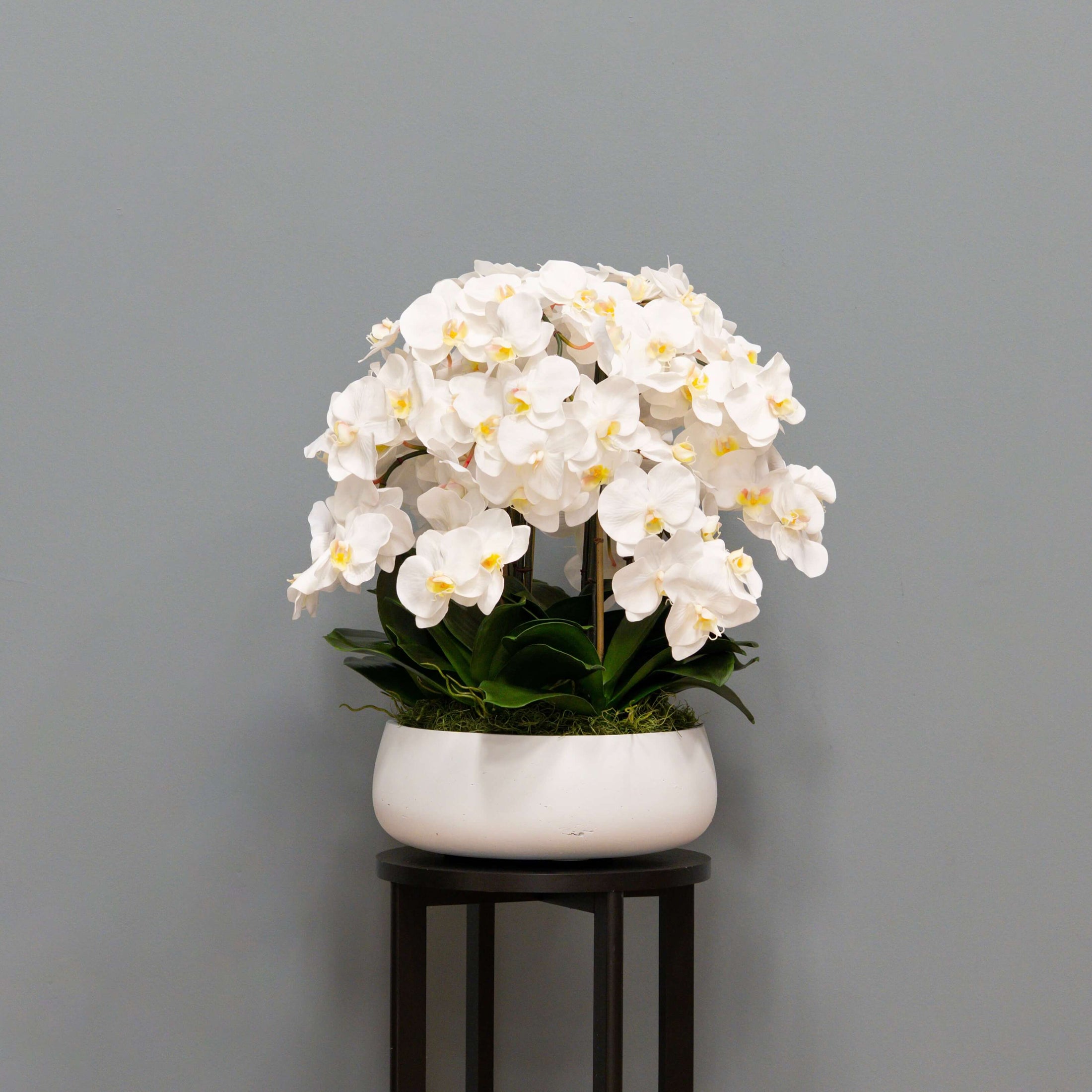 Airy White Orchid Arrangement